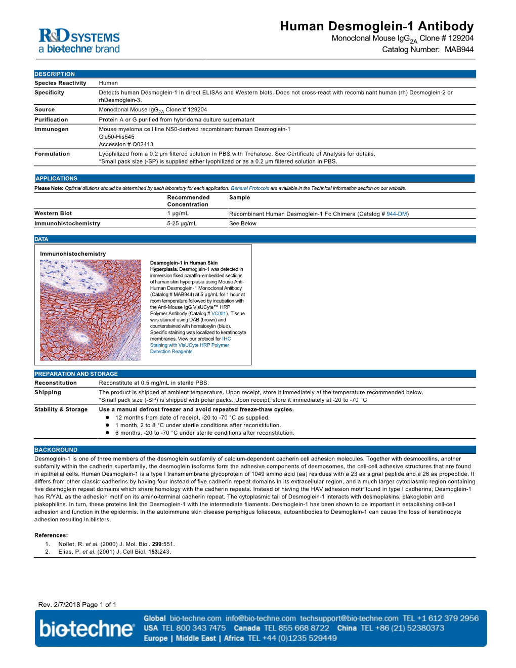 Human Desmoglein-1 Antibody