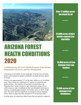 Arizona's Forest Health