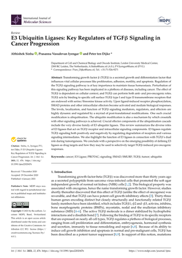 E3 Ubiquitin Ligases: Key Regulators of Tgfβ Signaling in Cancer Progression