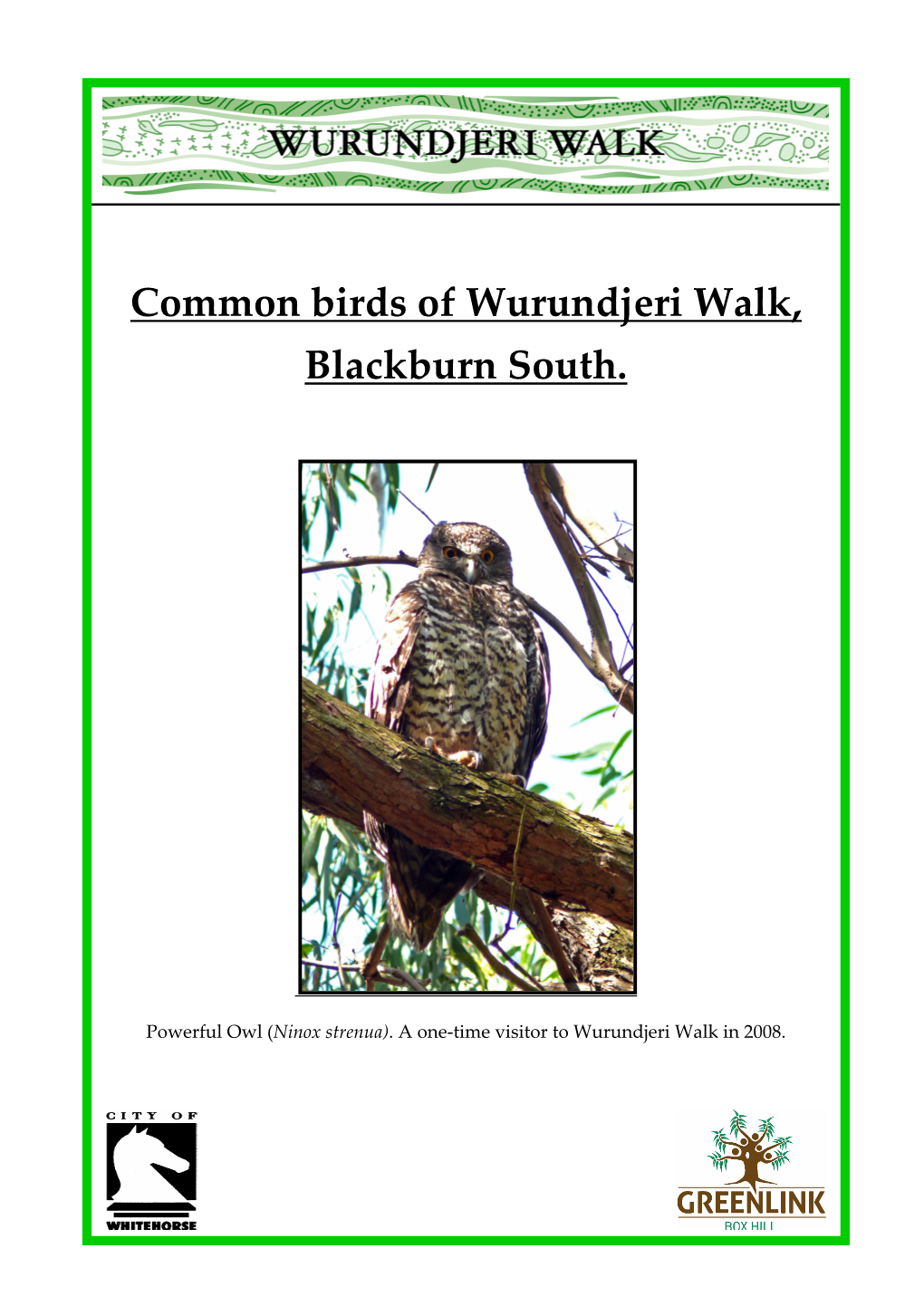 Common Birds of Wurundjeri Walk, Blackburn South