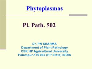 Pl Path 502 Phytoplasma