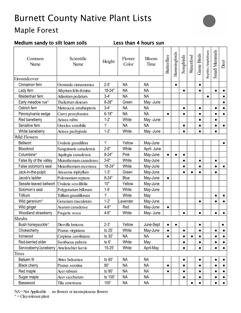 Burnett County Native Plant Lists Maple Forest