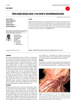 Cleido-Occipital Platysma Muscle: a Rare Variant of Sternocleidomastoid Muscle