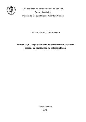 Thaís De Castro Cunha Parméra Reconstrução