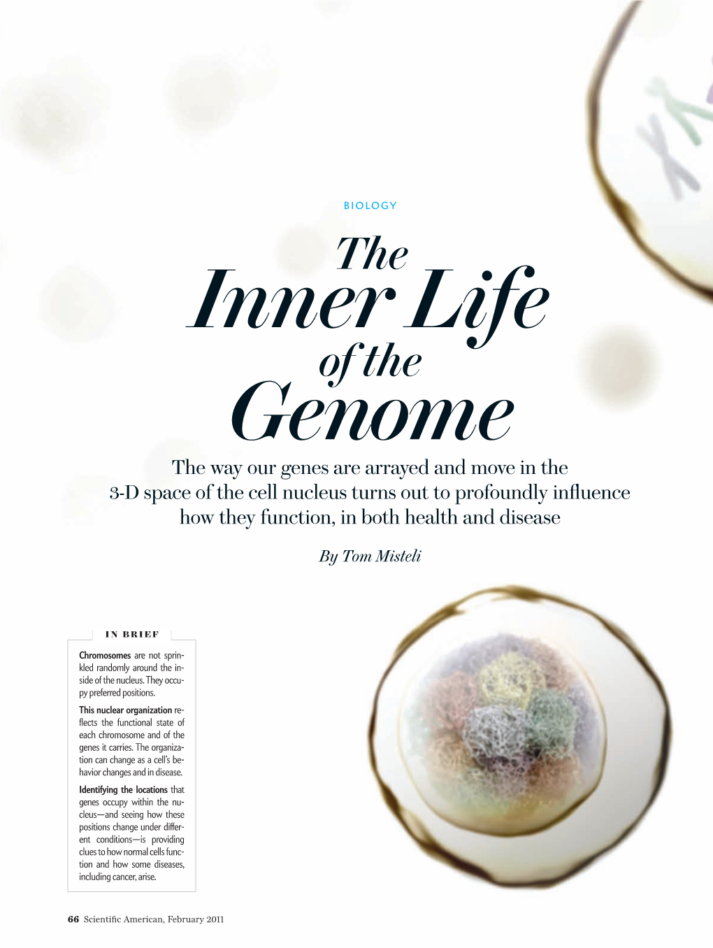 Inner Life Genome