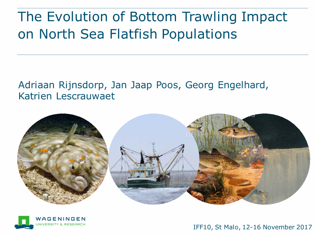 The Evolution of Bottom Trawling Impact on North Sea Flatfish Populations