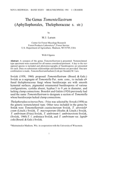 The Genus Tomentellastrum (Aphyllophorales, Thelephoraceae S. Str.)