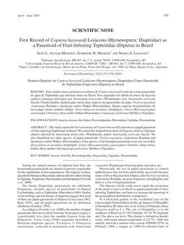 First Record of Coptera Haywardi Loiácono (Hymenoptera: Diapriidae) As a Parasitoid of Fruit-Infesting Tephritidae (Diptera) in Brazil