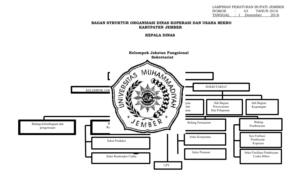 Bagan Struktur Organisasi Dinas Koperasi Dan Usaha Mikro Kabupaten Jember