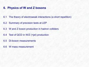 6. Physics of W and Z Bosons