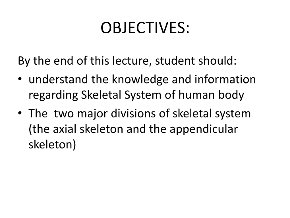 The Skeletal System