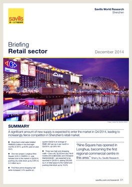 Briefing Retail Sector December 2014