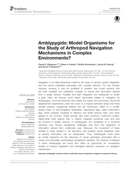 Amblypygids: Model Organisms for the Study of Arthropod Navigation Mechanisms in Complex Environments?