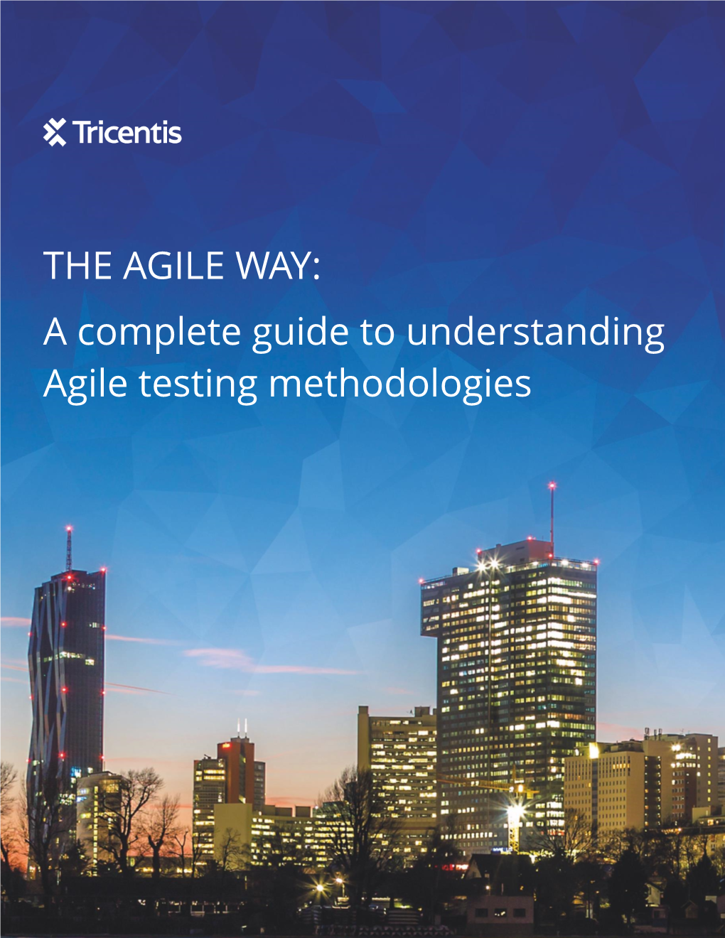 THE AGILE WAY: a Complete Guide to Understanding Agile Testing Methodologies