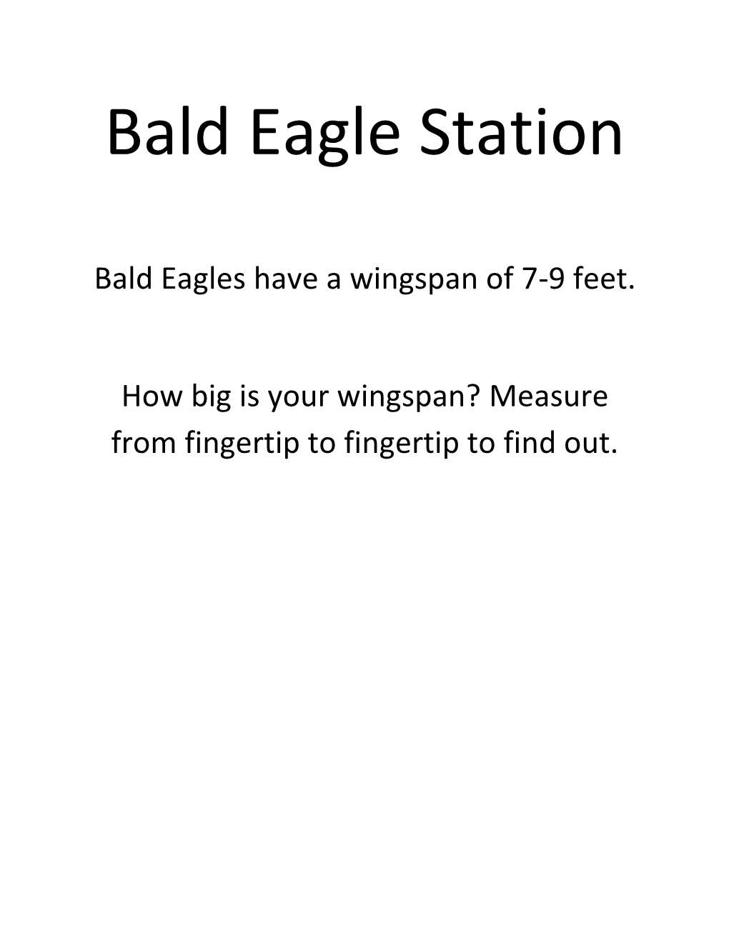 Bald Eagle Station