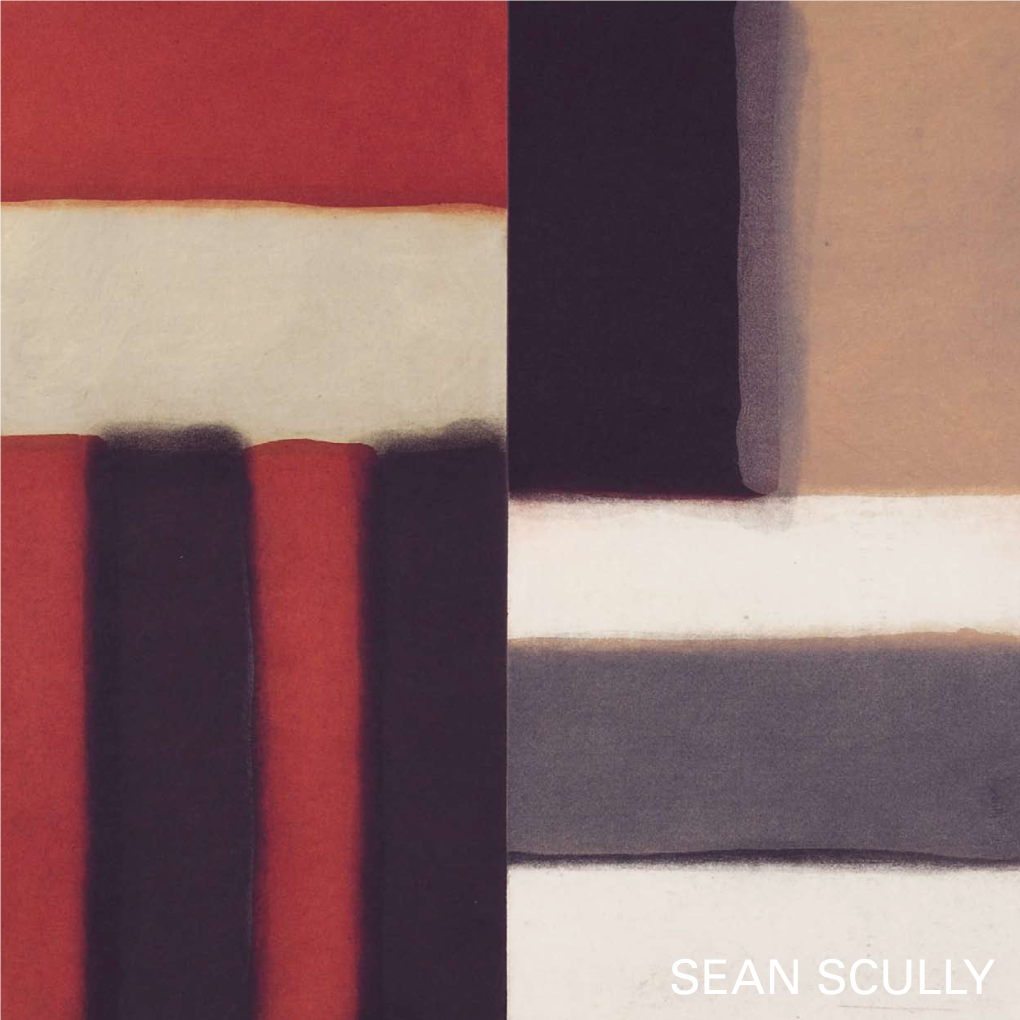 SEAN SCULLY Die Galerie Boisserée Ist Mitglied Im