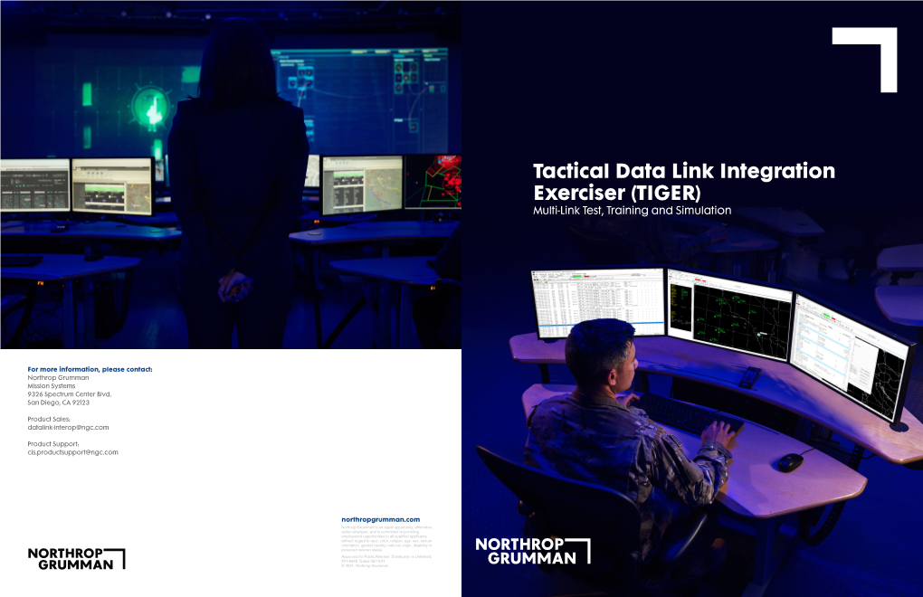 Tactical Data Link Integration Exerciser (TIGER) Multi-Link Test, Training and Simulation