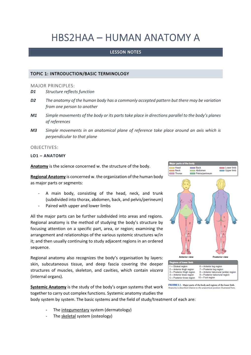 Human Anatomy A