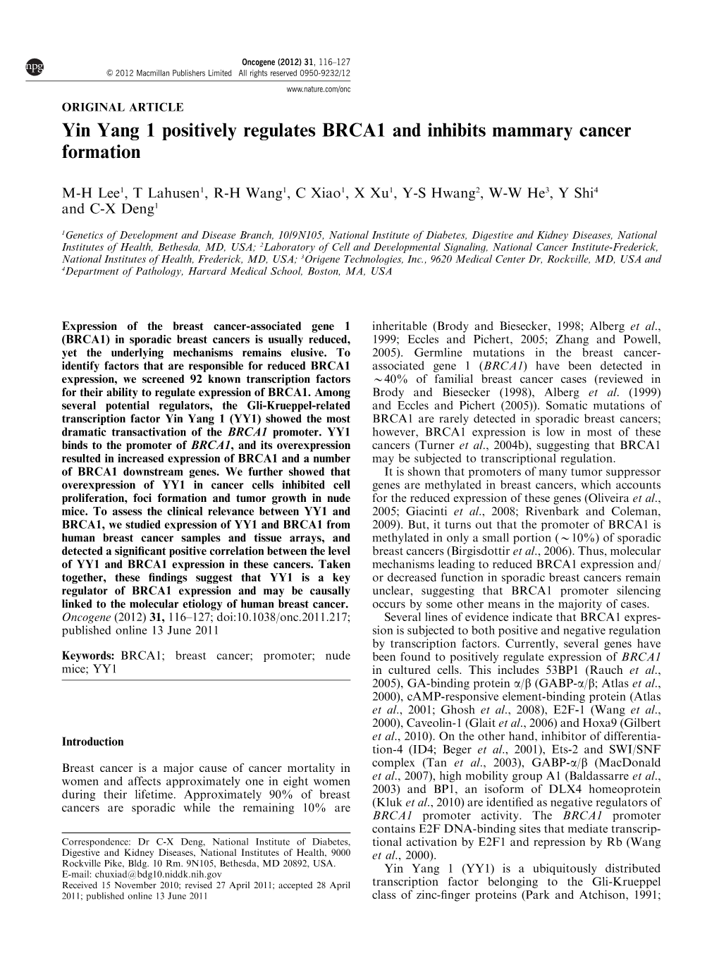 Yin Yang 1 Positively Regulates BRCA1 and Inhibits Mammary Cancer Formation