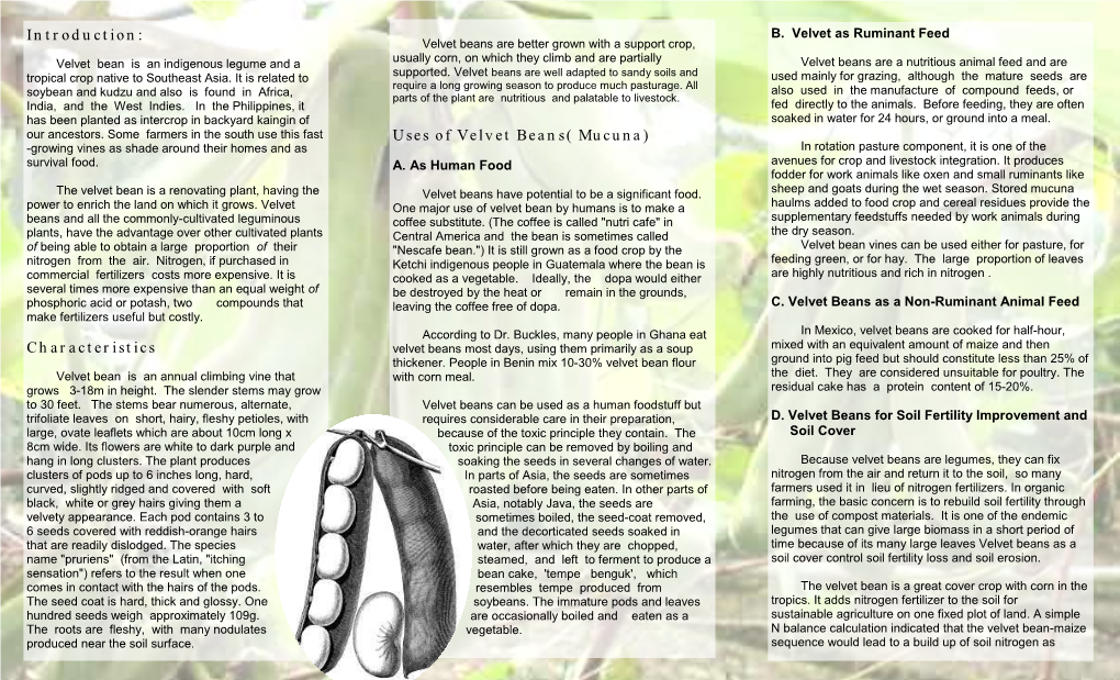 Introduction: Characteristics Uses of Velvet Beans( Mucuna)
