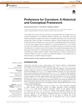 Preference for Curvature: a Historical and Conceptual Framework