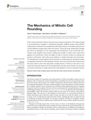 The Mechanics of Mitotic Cell Rounding