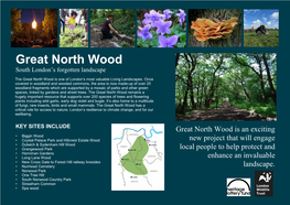 Great North Wood South London’S Forgotten Landscape