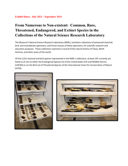 From Numerous to Non-Existent: Common, Rare, Threatened, Endangered, and Extinct Species in the Collections of the Natural Science Research Laboratory