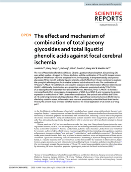 The Effect and Mechanism of Combination of Total Paeony