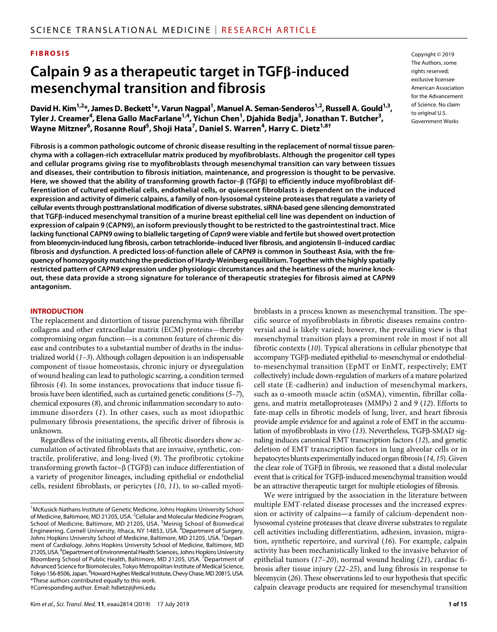 Calpain 9 As a Therapeutic Target in TGF -Induced Mesenchymal Transition and Fibrosis