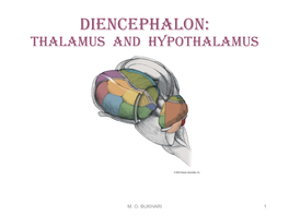 Thalamus and Hypothalamus