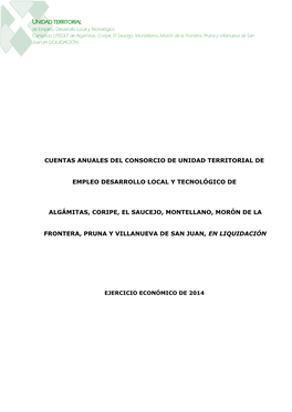 Cuentas Anuales Del Consorcio UTEDLT De Algámitas, Coripe, El