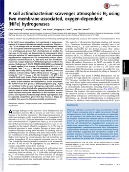 [Nife] Hydrogenases