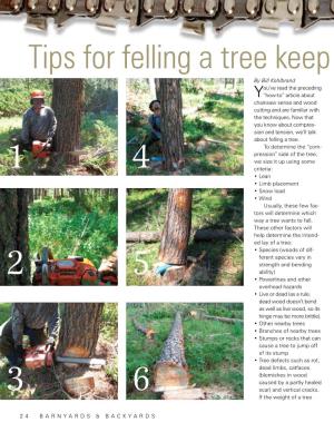 Tips for Felling a Tree Keep You Safe, the Job Easier