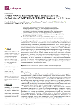 Hybrid Atypical Enteropathogenic and Extraintestinal Escherichia Coli (Aepec/Expec) BA1250 Strain: a Draft Genome