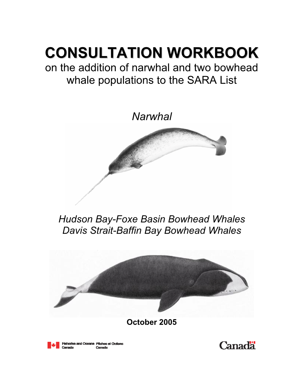 Consultation Workbook on the Addition of Narwhal and Two Bowhead