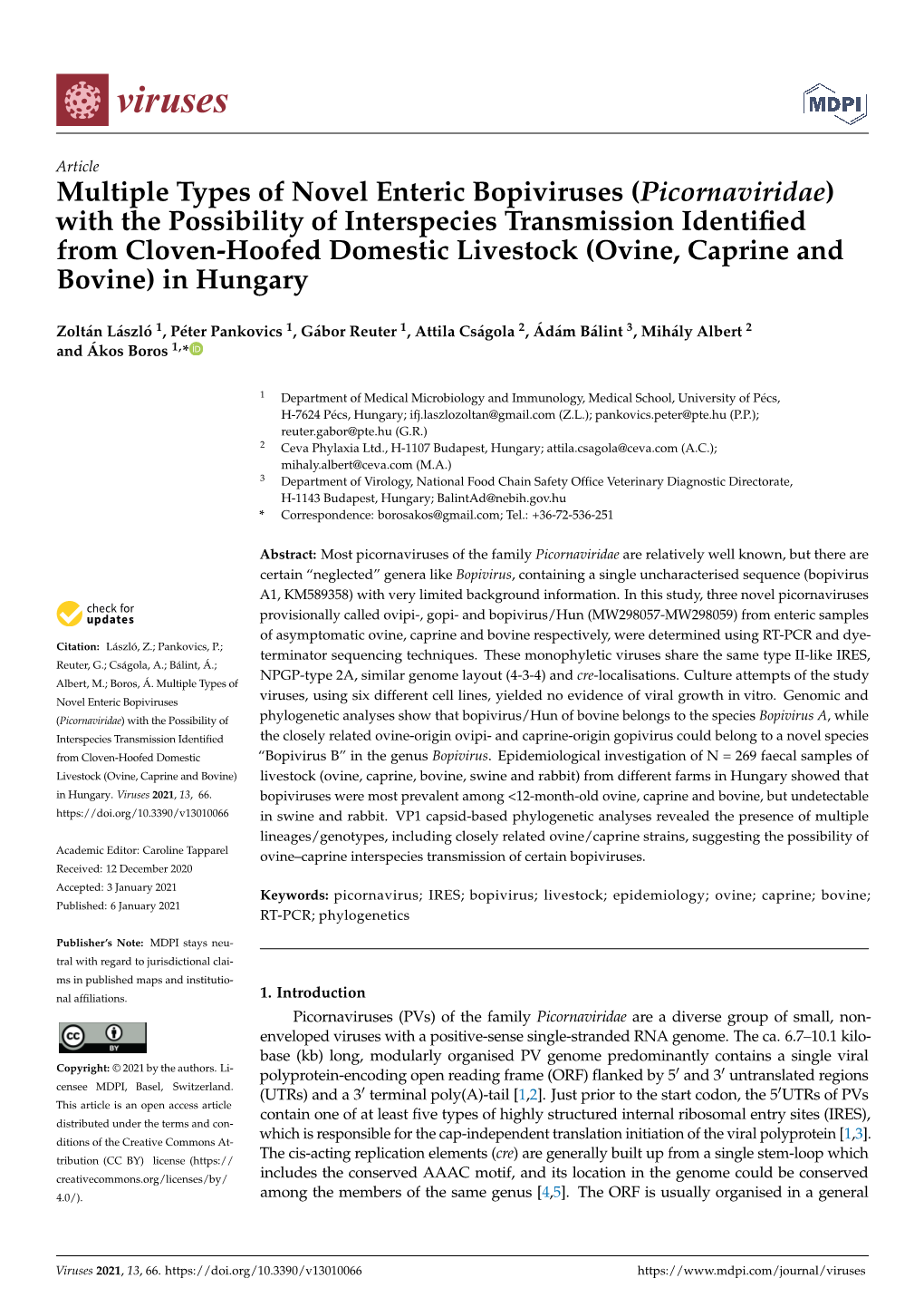 Multiple Types of Novel Enteric Bopiviruses (Picornaviridae)