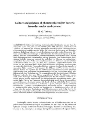 Culture and Isolation of Phototrophic Sulfur Bacteria from the Marine Environment