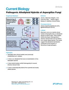 Pathogenic Allodiploid Hybrids of Aspergillus Fungi