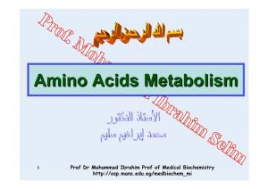 Amino Acids Metabolism
