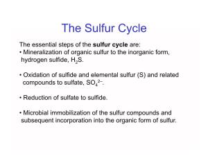 The Sulfur Cycle