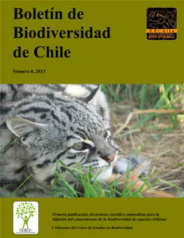 Bbchile-2013-8.Pdf