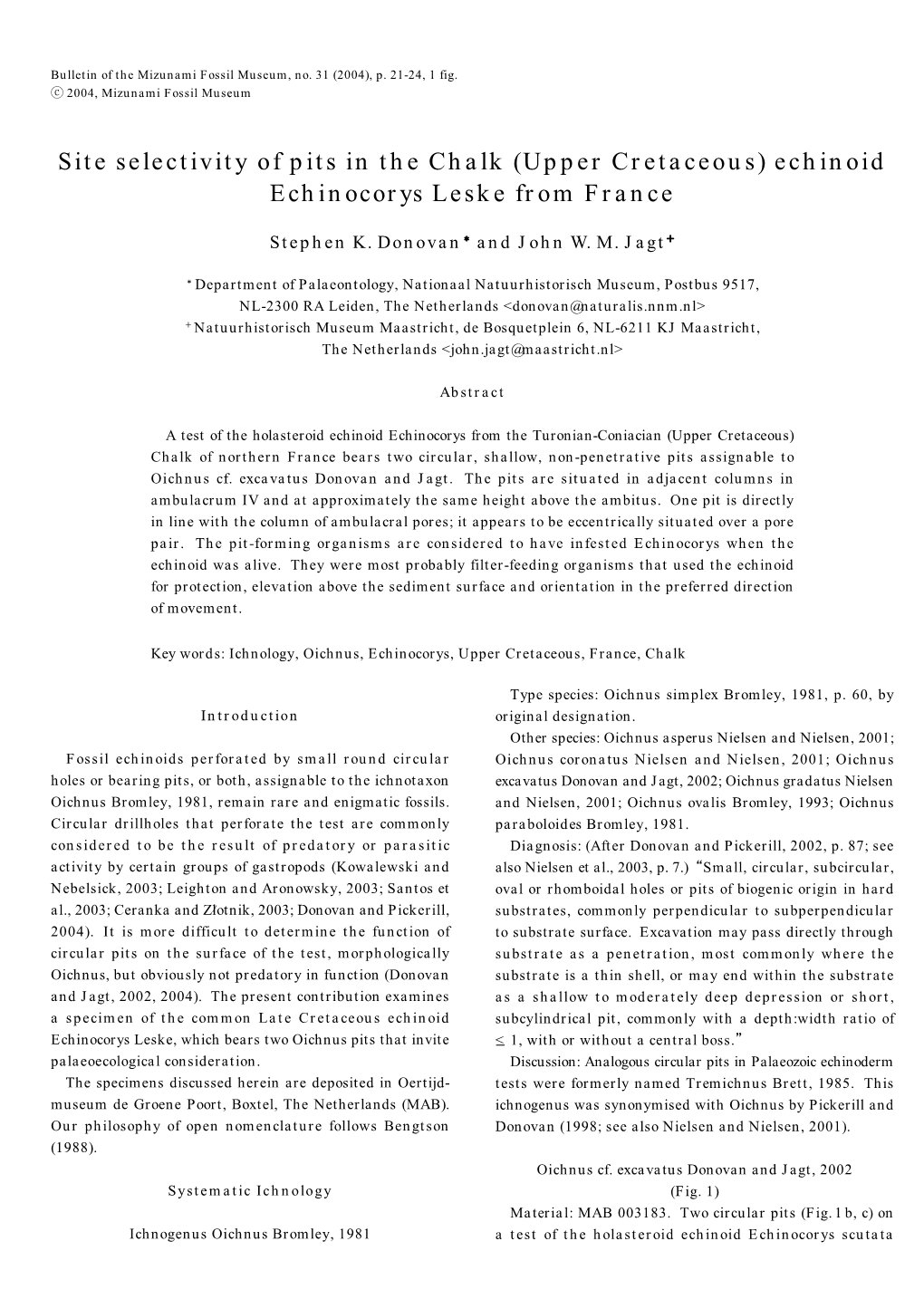 Site Selectivity of Pits in the Chalk (Upper Cretaceous) Echinoid Echinocorys Leske from France