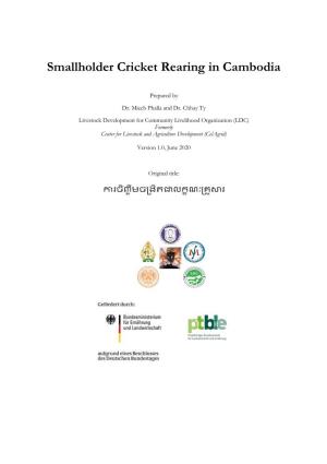 Smallholder Cricket Rearing in Cambodia