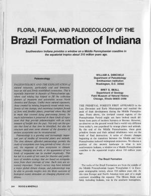 Brazil Formation of Indiana