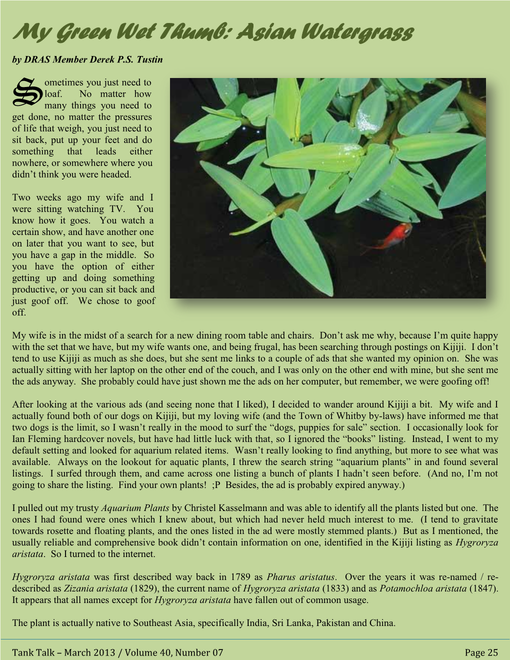 Asian Watergrass by DRAS Member Derek P.S