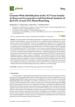Genome-Wide Identification of the TCP Gene Family in Broussonetia Papyrifera and Functional Analysis of Bptcp8, 14 and 19 In