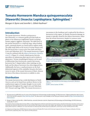 Tomato Hornworm Manduca Quinquemaculata (Haworth) (Insecta: Lepidoptera: Sphingidae) 1 Morgan A