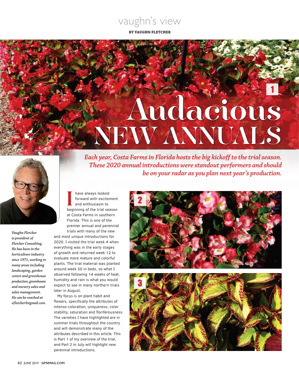 PDF: Audacious New Annuals