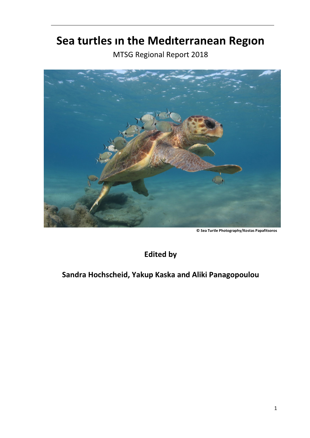 Sea Turtles in the Medıterranean Regıon MTSG Regional Report 2018